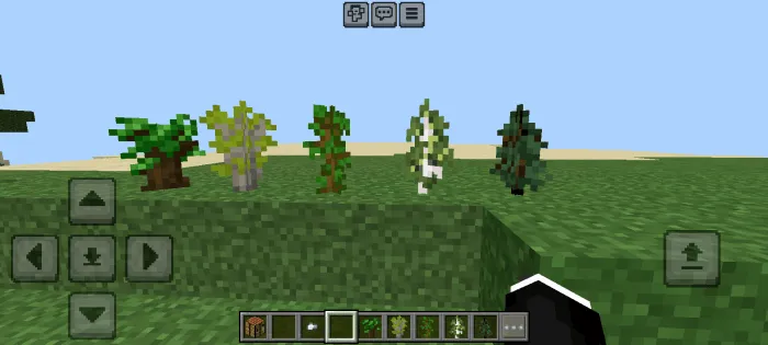 Accurate Craft: Screenshot 3