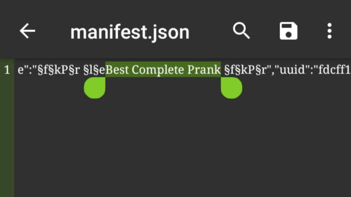 Manifest.json file