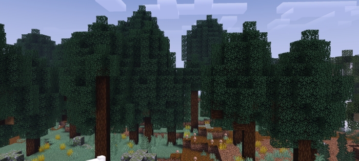 Biomes O' Discovery: Screenshot 1