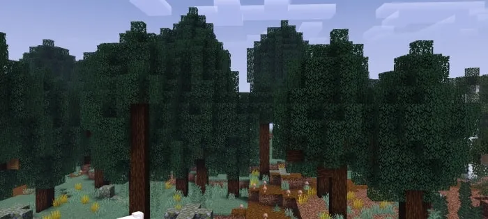 Biomes O' Discovery: Screenshot 1