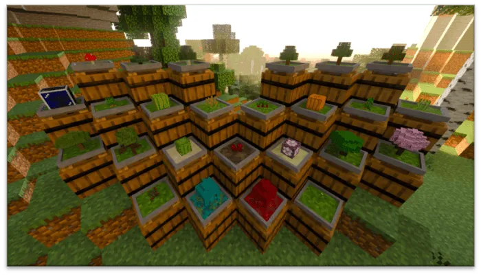 Bonsais: Screenshot