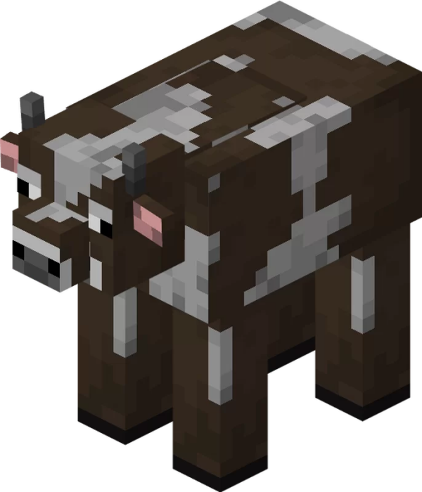 Cow Model