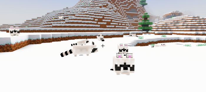 White Raccoons: Screenshot