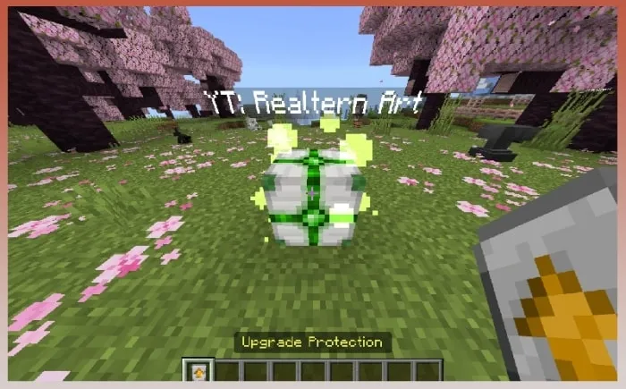 Upgrade Protection: Screenshot 1
