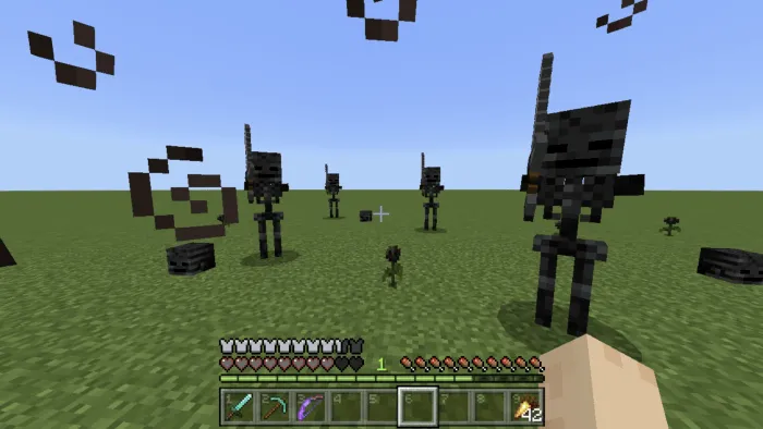 Visible Wither Hearts: Screenshot