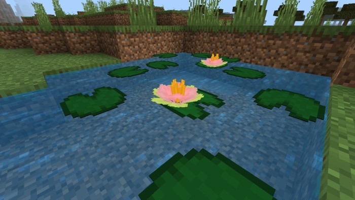 Lotus Flower: Screenshot