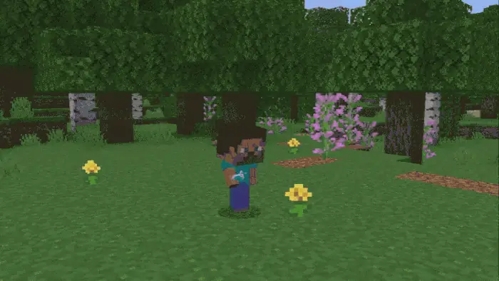 New Adult Potion Particles: Showcase 2