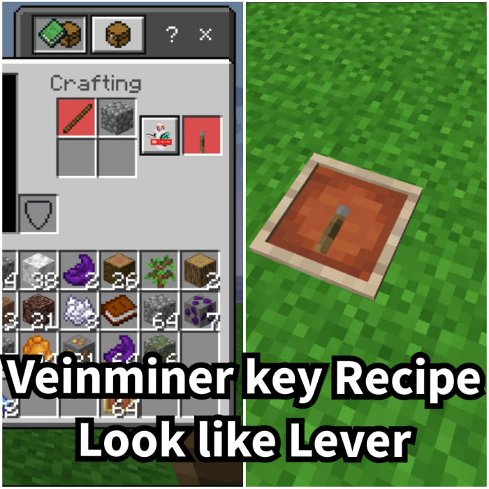 Veinminer Key: Screenshot