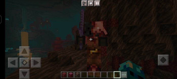 Wither Piglin: Screenshot