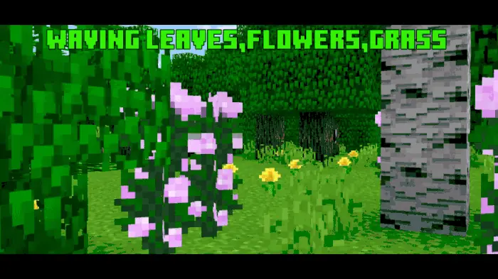 Waving Leaves, Flowers, Grass: Showcase