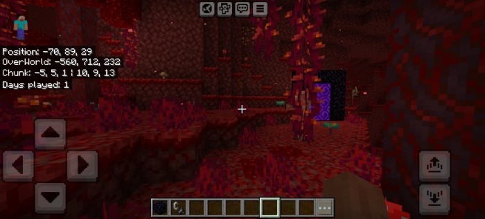 Coordinates Plus Nether: Screenshot