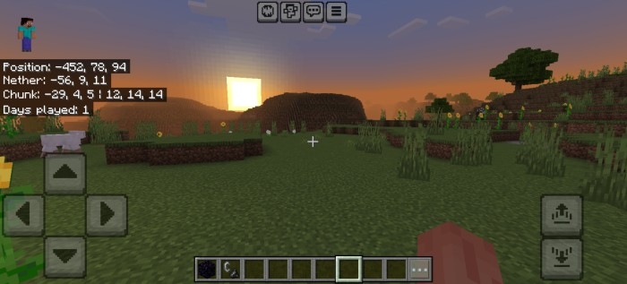 Coordinates Plus Overworld: Screenshot