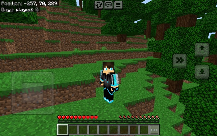 Fresh Moves Bedrock: Screenshot 2