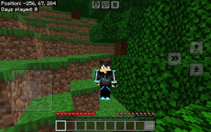 Fresh Moves Bedrock: Screenshot 4