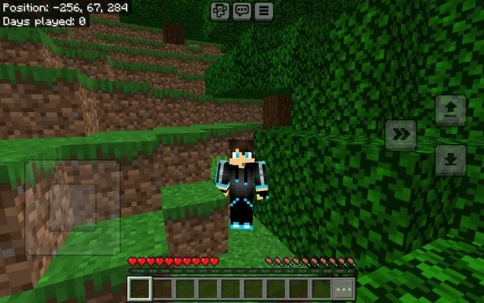 Fresh Moves Bedrock: Screenshot 4