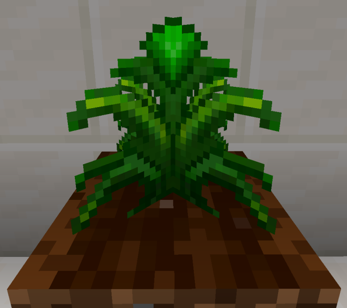 Emerald Crop: Screenshot