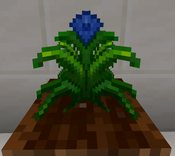 Lapis Lazuli Crop: Screenshot