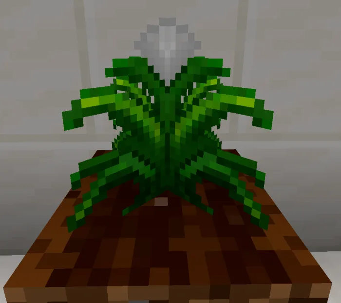 Neutral Crop: Screenshot