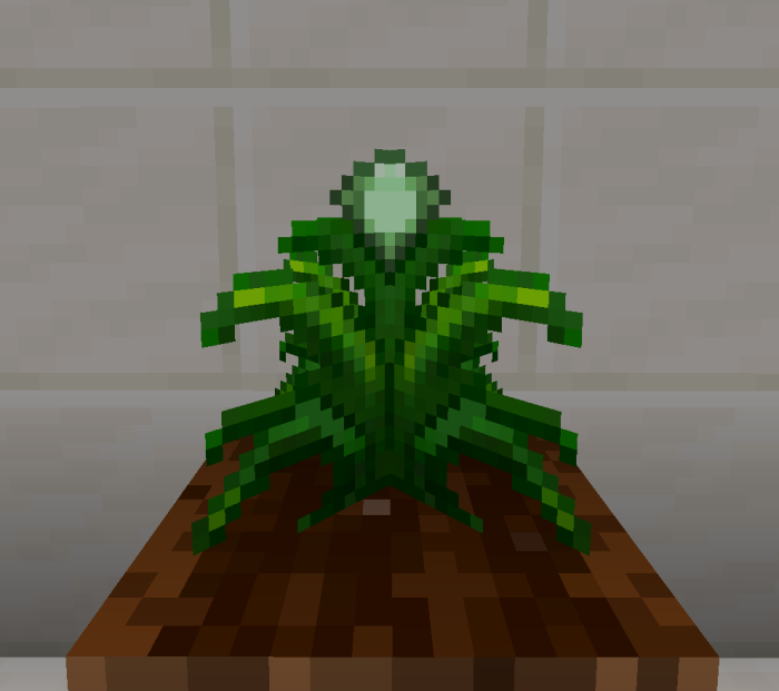 Slime Crop: Screenshot