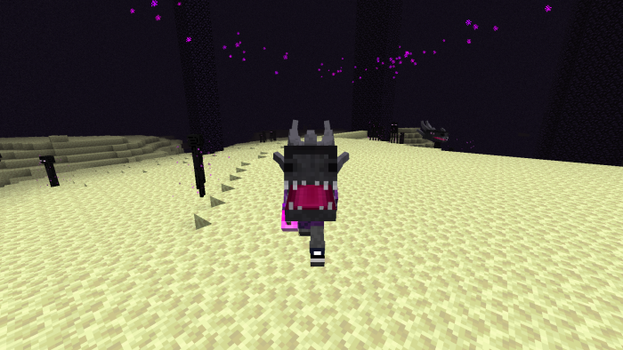 Ender Dragon Head: Screenshot 1