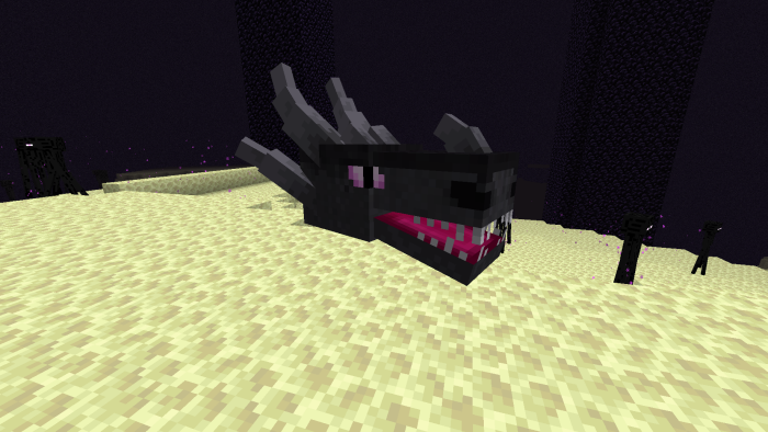 Ender Dragon Head: Screenshot 2