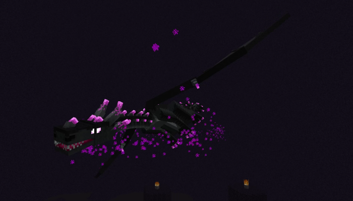 Ender Dragon: Screenshot 3