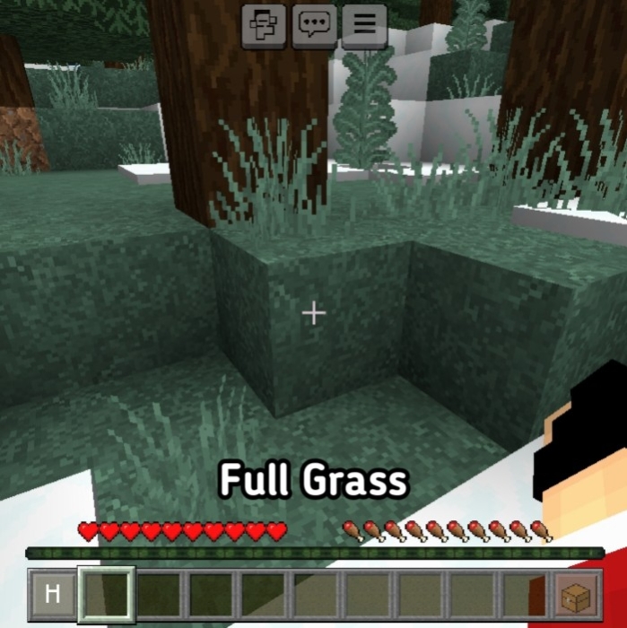 Full Grass: Screenshot