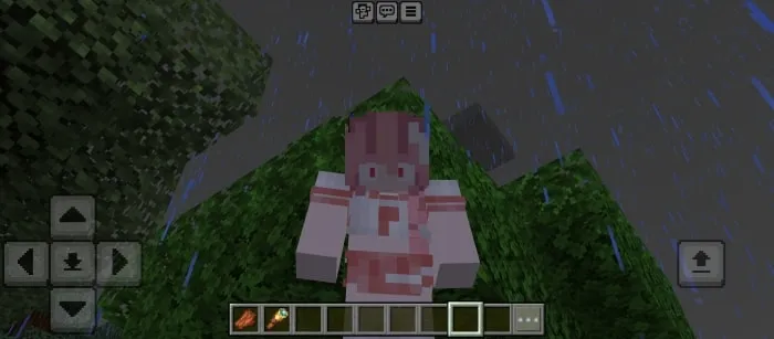 Look Down Adjustment: Screenshot