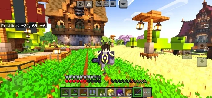 Hail Survival: Screenshot 2