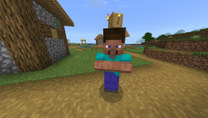 Villager Steve: Screenshot