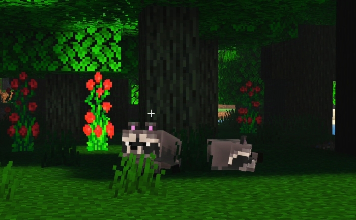 Grey Raccoons: Screenshot