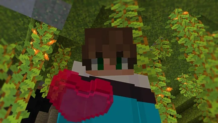 Life Crystal Item: Screenshot 1