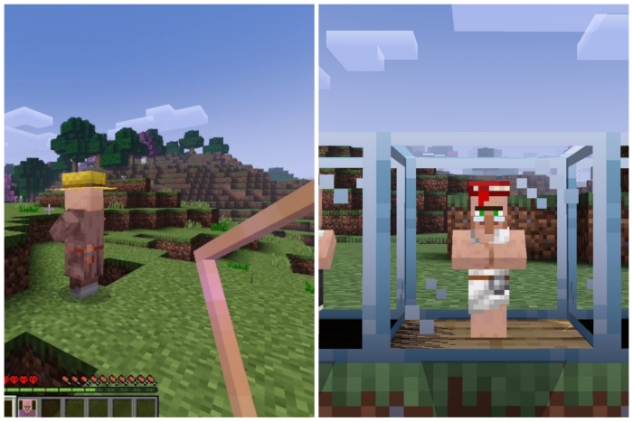 Villager Minion: Screenshot 1