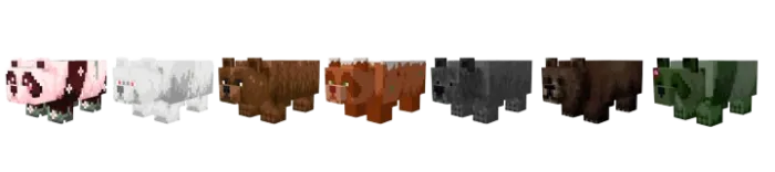 Bears Models 2
