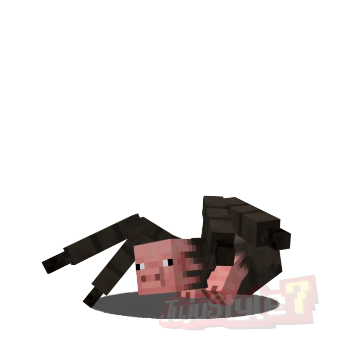 Mutated Spider Pig