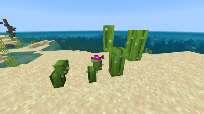 Pumped Desert 2 Blocks: Screenshot 2