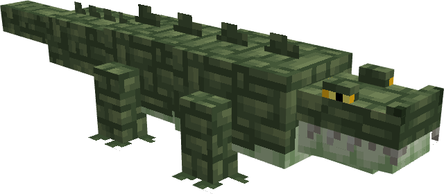 Crocodile