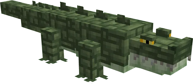 Crocodile
