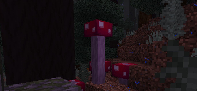 Megacap Mushroom: Screenshot