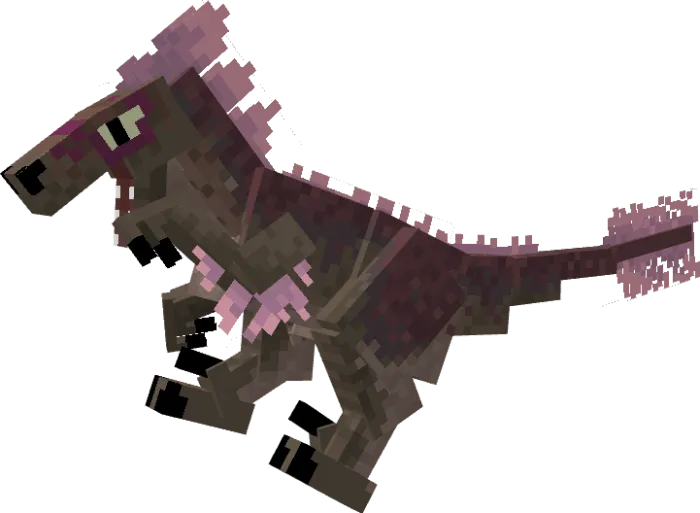 Raptor Variant 2