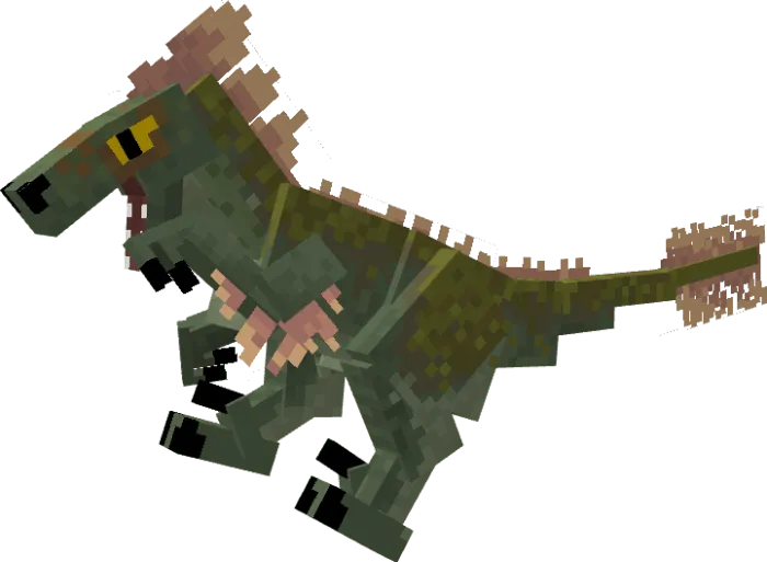 Raptor Variant 6