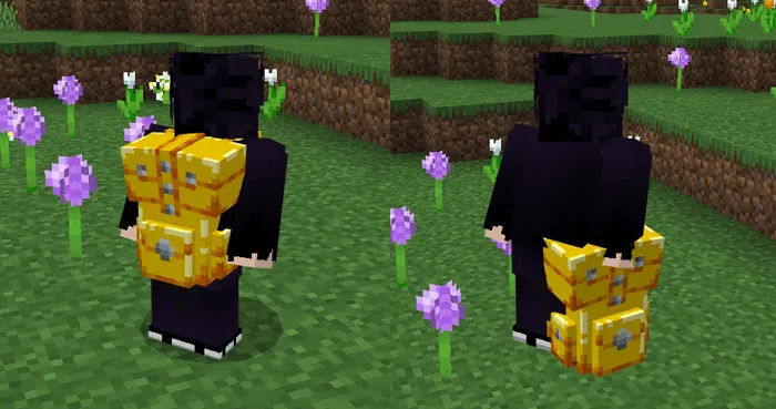 Removed Backpack: Screenshot