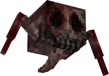 Spider Skull Model