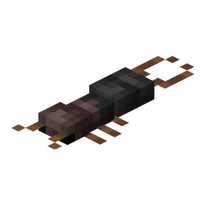 Earwig Silverfish Model