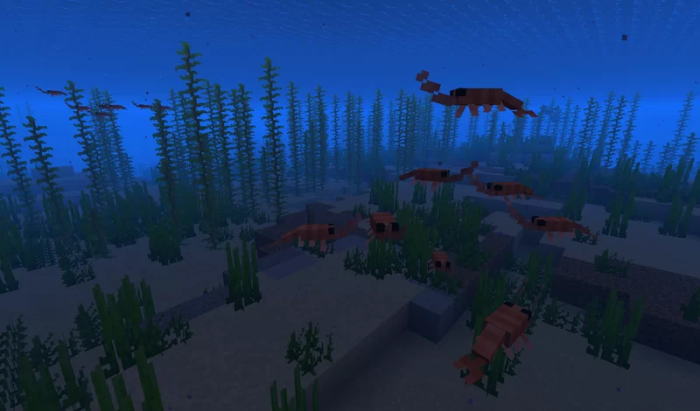 Shrimp Cods: Screenshot 2