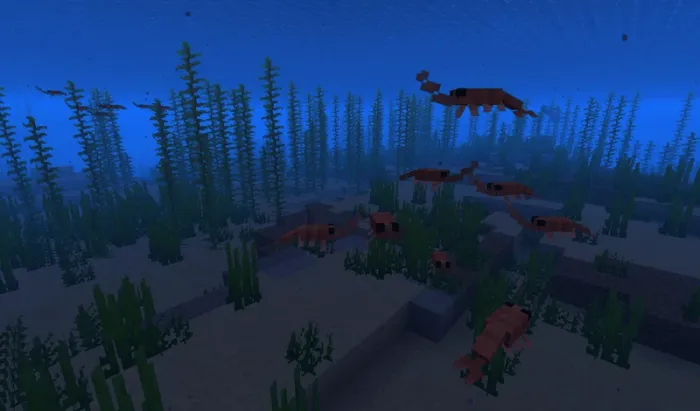 Shrimp Cods: Screenshot 2