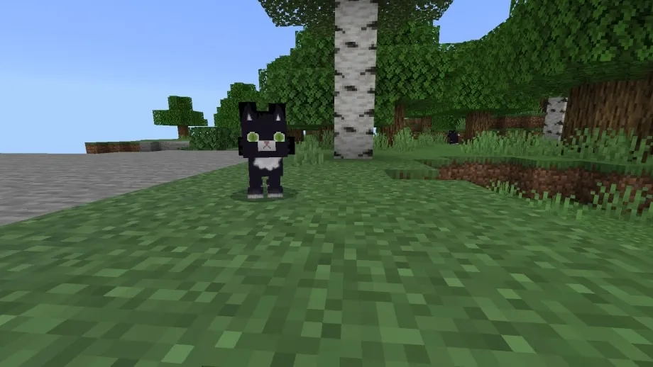 Thumbnail: Hytale Cat (Support Actions & Stuff)