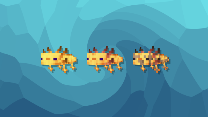 Gold Axolotls