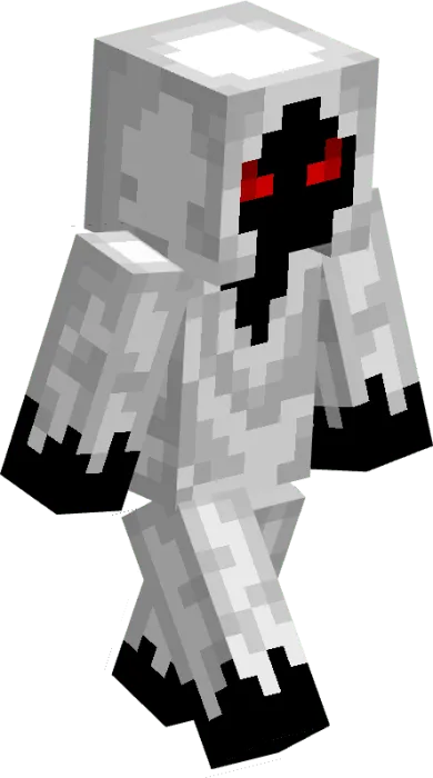Entity 303 Model 1