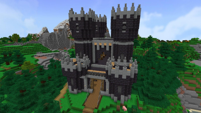 The Castle